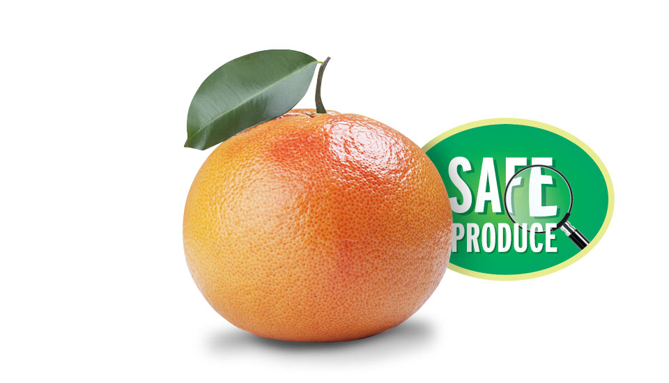 Türkmenoğlu safe produce grapefruit