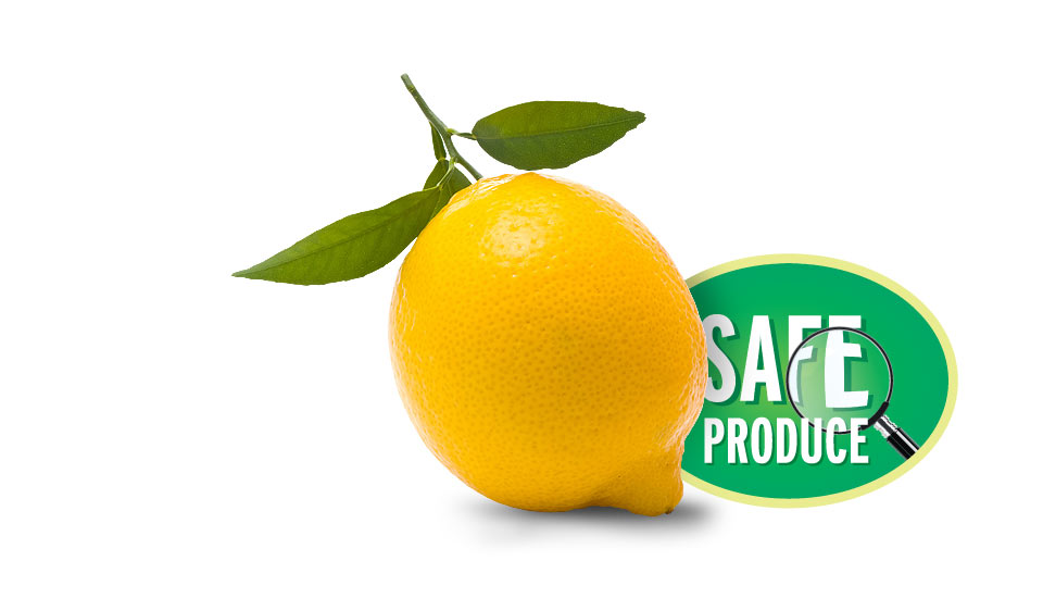 Türkmenoğlu safe produce lemon