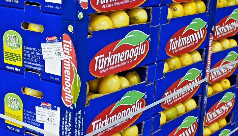 Türkmenoğlu safe produce lemon