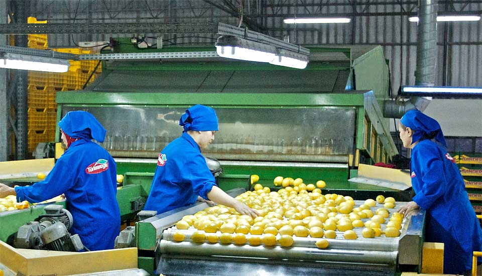 Türkmenoğlu safe produce lemon