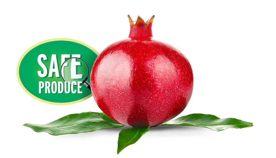 Türkmenoğlu safe hicaz pomegranate