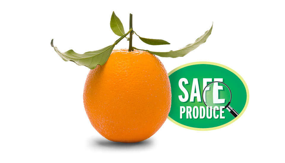 Türkmenoğlu safe produce orange