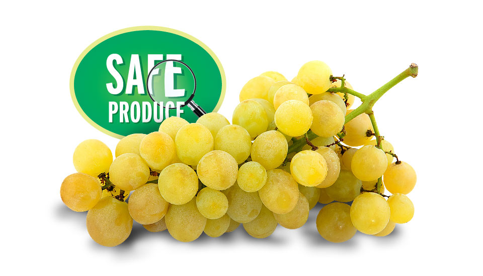 Türkmenoğlu safe produce sultanas