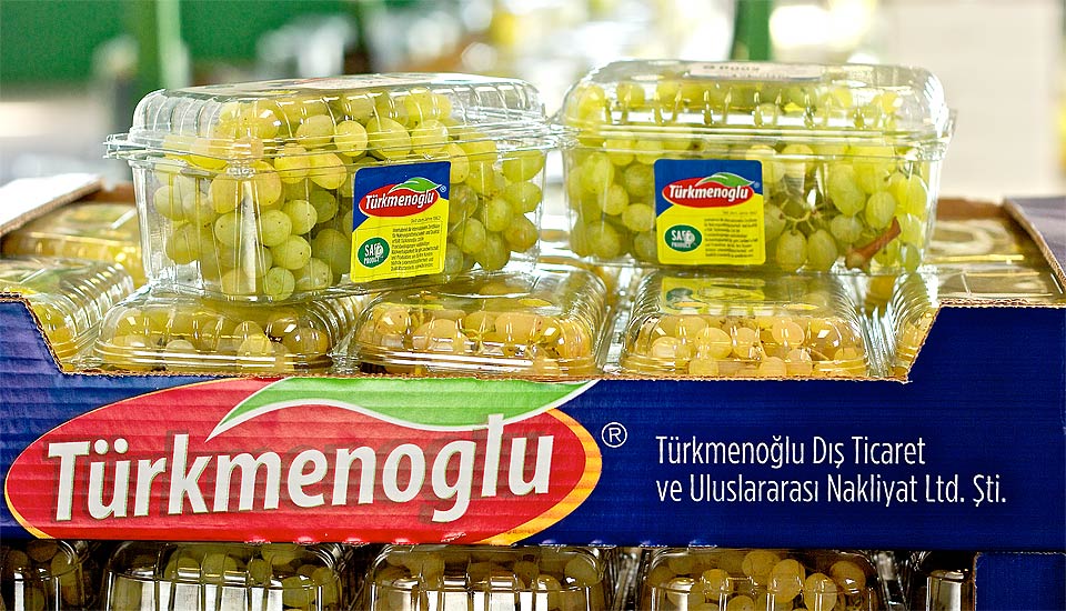 Türkmenoğlu safe produce sultanas
