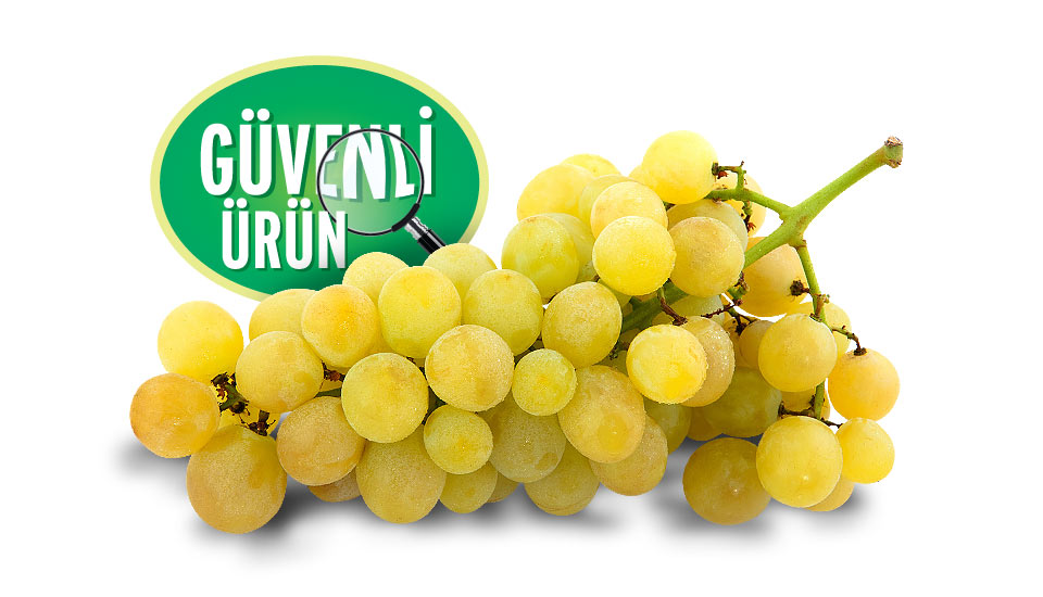Türkmenoğlu güvenli sultaniye üzüm